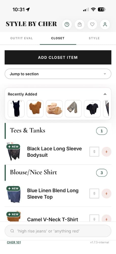 Cher closet with recently added items